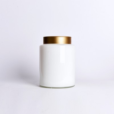 The body of the vase is white  flower vase  glass flower pot home decoration