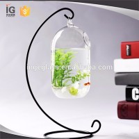 Capsule shape Glass Fish Tank for Sale