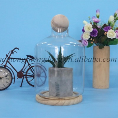 top wood ball glass plant vase terrarium with hole wood base