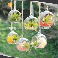 Hanging glass vase air plant terrarium for home decor